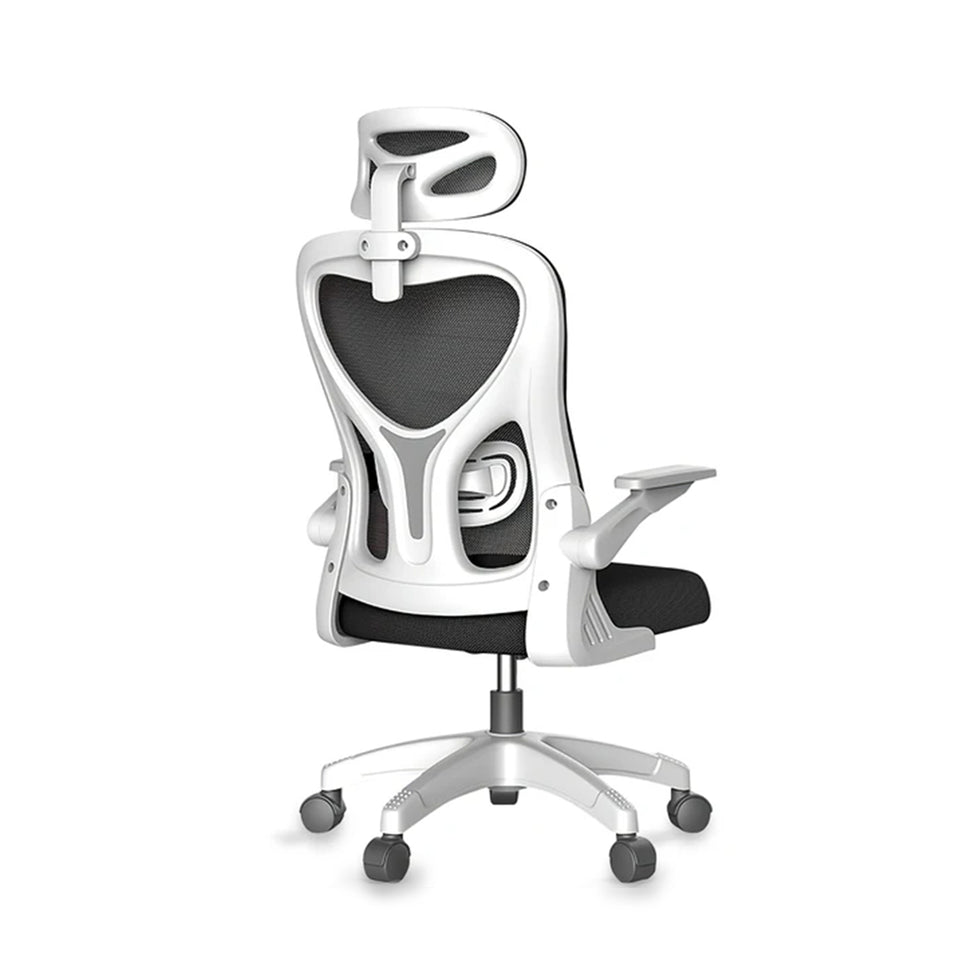Modern Rolling Casters Office Chair with Height Adjustment Design BGY-2025
