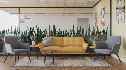 Why Every Modern Office Needs a Stylish Sofa