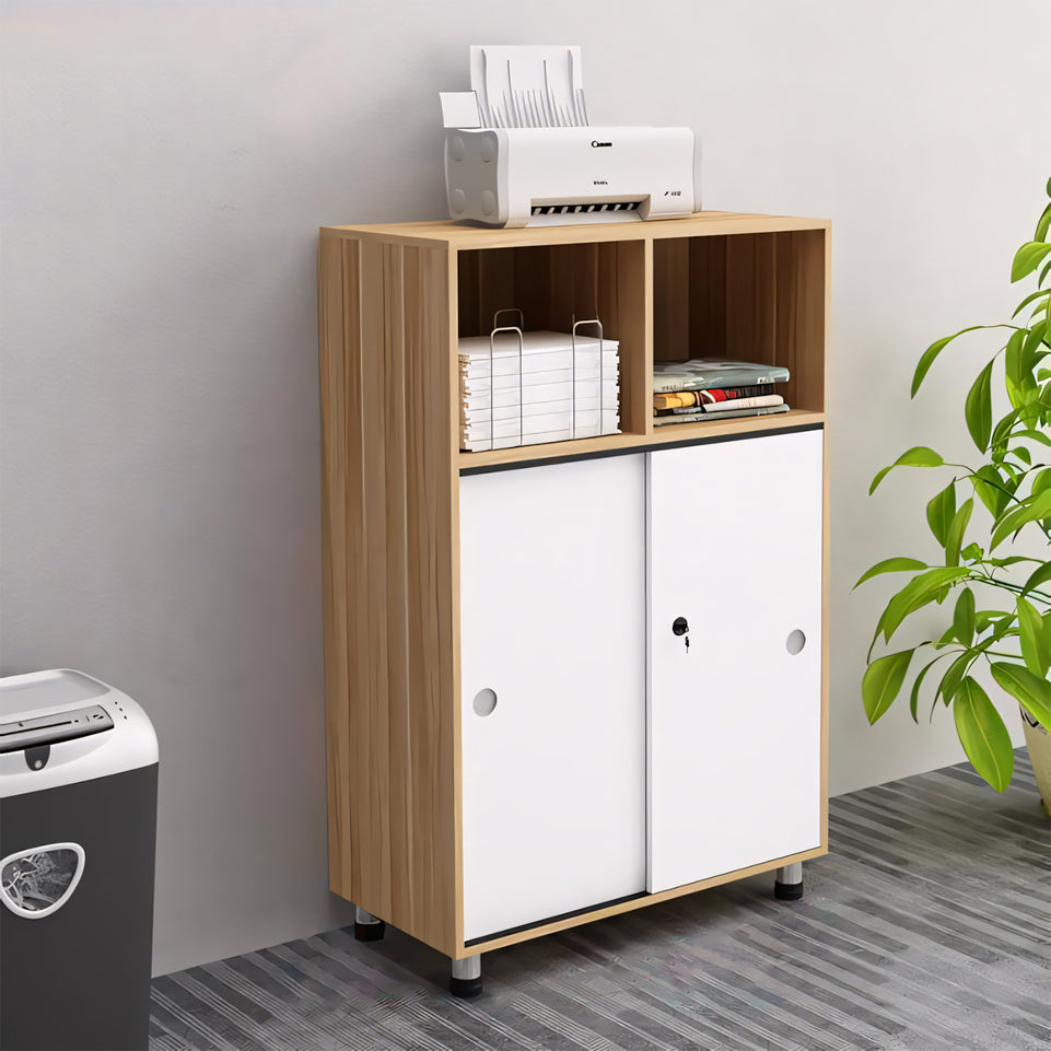 Fashion Classic Office Big Storage Cabinet WJG-107