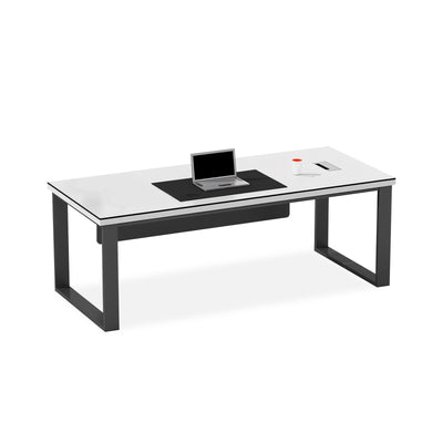 Office Supervisor Simple Table Modern President Desk LBZ-10127