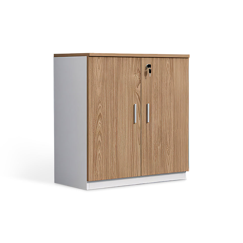 Modern Office Furniture Storage Cabinet WJG-1015