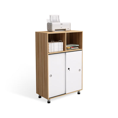 Fashion Classic Office Big Storage Cabinet WJG-107