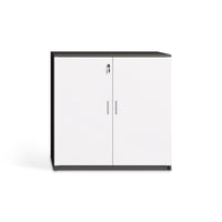 Office Business Cabinet With Door WJG-1023