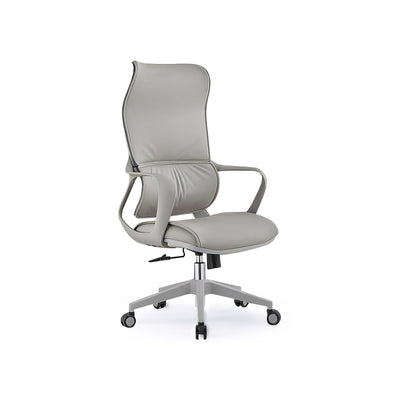 Ergonomic Office Chair Colorful Comfort BGY-109