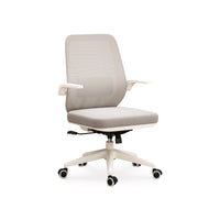 Classic Mesh Office Ergonomic Chair For Ultimate Comfort BGY-1049