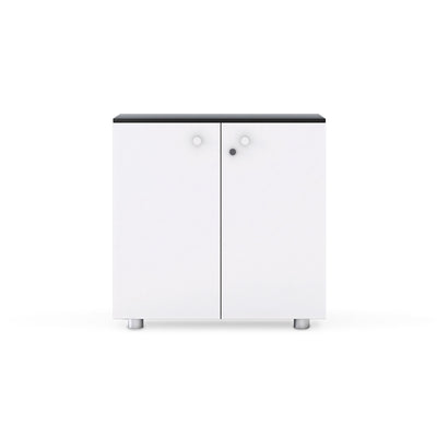 Office Wooden Cabinet With Doors WJG-1010