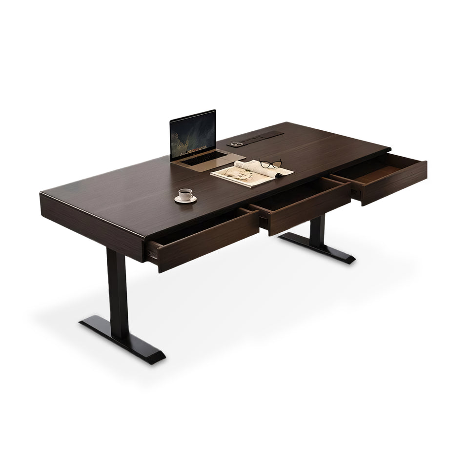 Modern Light Luxury Smoked Wood Smart Electric Height Adjustable Desk YGZ-2004