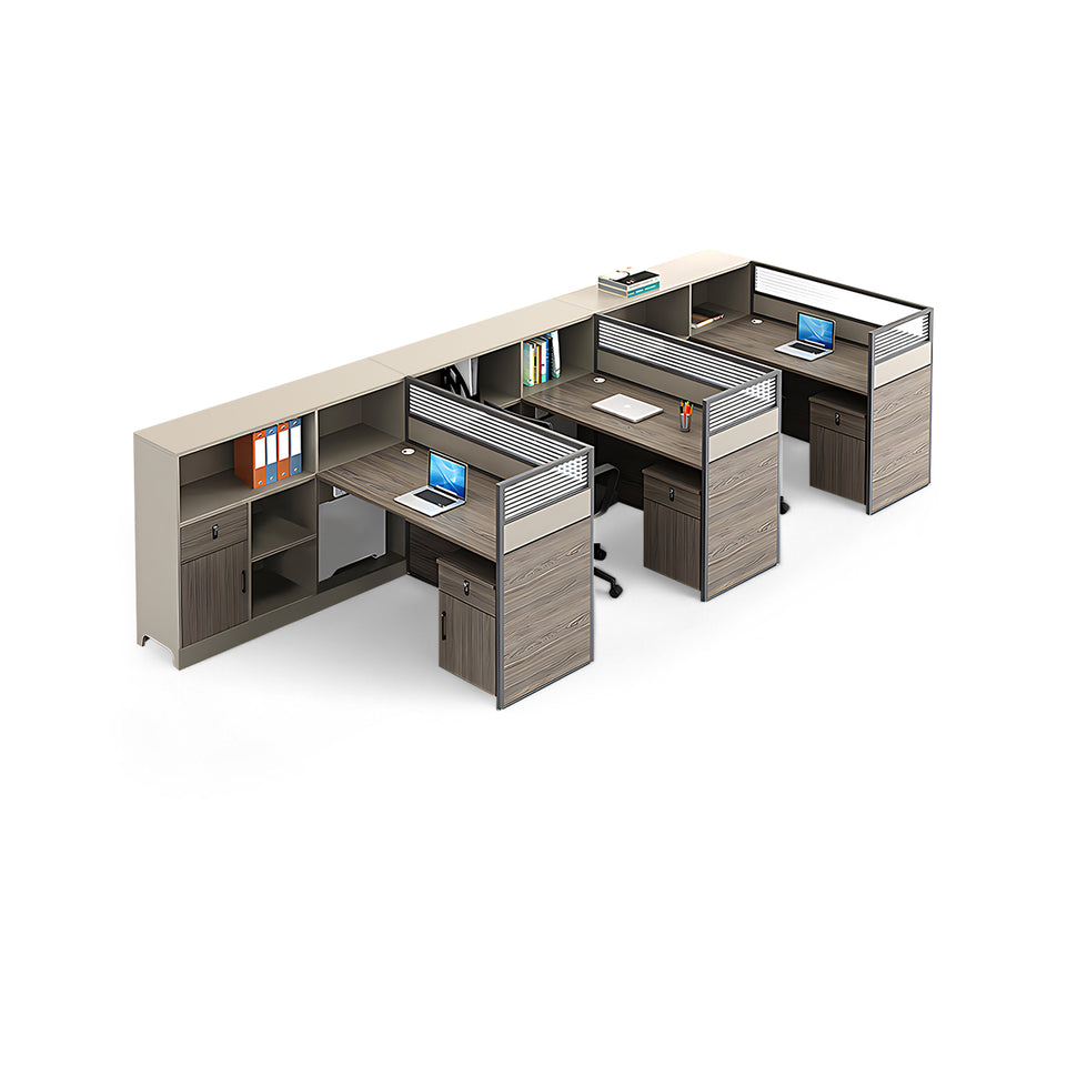 Contemporary Minimalist Multi-functional Office Desk with Partition Design BGZ-205